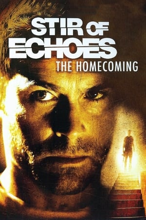 Image Stir of Echoes: The Homecoming