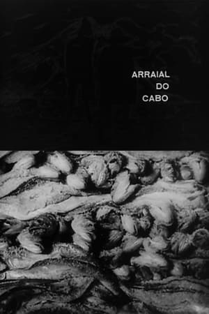 Poster Arraial do Cabo 1960