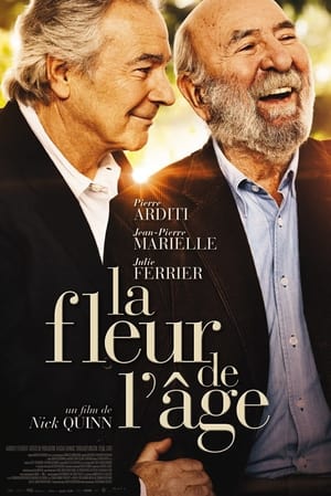 Poster La Fleur de l'âge (2013)