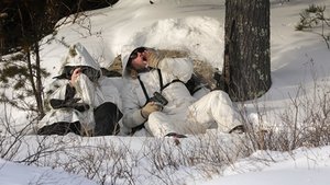 Wolf Watch
