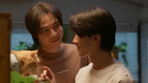 Đổi Tình Lấy Mèo