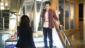 Stitchers: 1×1