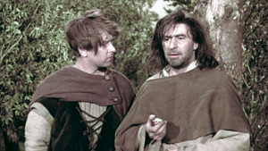 The Thieves