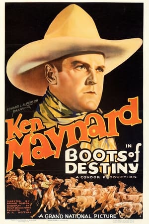 Poster di Boots of Destiny