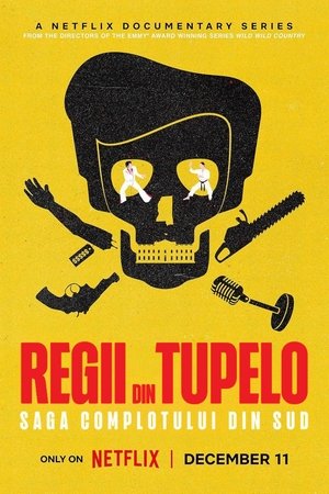 Image The Kings of Tupelo: A Southern Crime Saga
