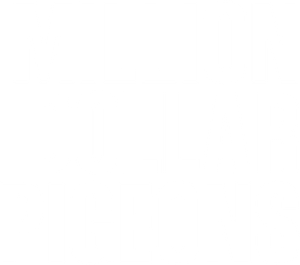 Million Dollar Pigeons — Logos 2
