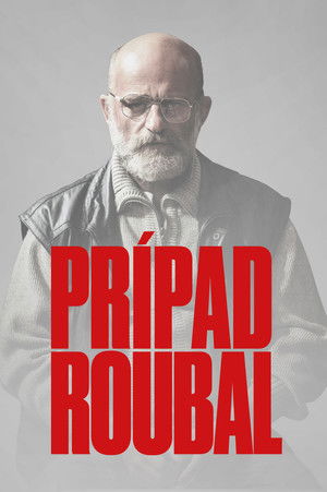 Image Prípad Roubal