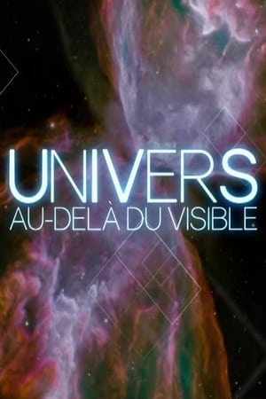 Poster Univers, au-delà du visible (2015)