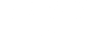 Chief Detective 1958 — Logos 2