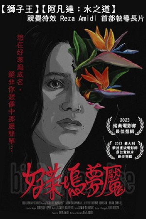 Bird of Paradise