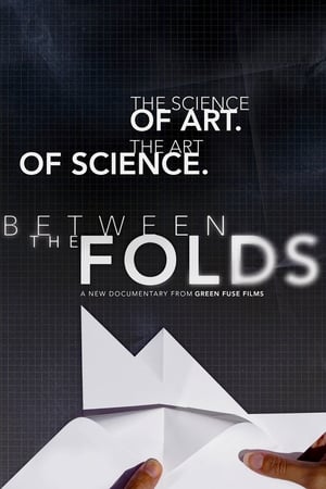 Poster Between the Folds (2008)