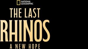 The Last Rhinos: A New Hope (2025)