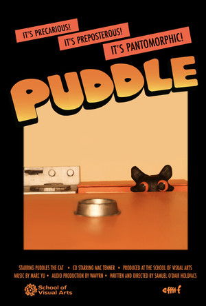 Puddle (2026)