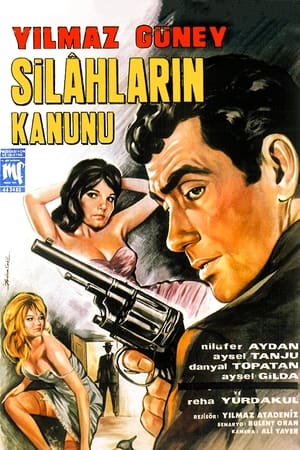 Poster Silahların Kanunu (1966)