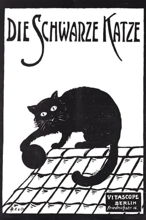 Poster Die schwarze Katze 1. Teil (1912)