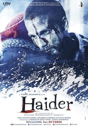 Click for trailer, plot details and rating of Haider (2014)