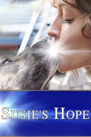 Poster Susie's Hope (2013)