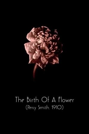 Poster The Birth of a Flower (1910)
