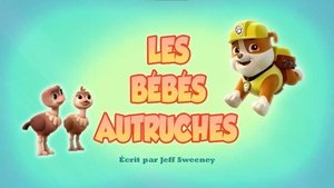 Les Bébés autruches