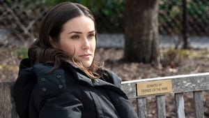 The Blacklist Temporada 7 Capitulo 16