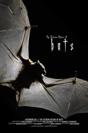 Bats (2010)