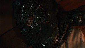 Black Christmas ( 2006 )