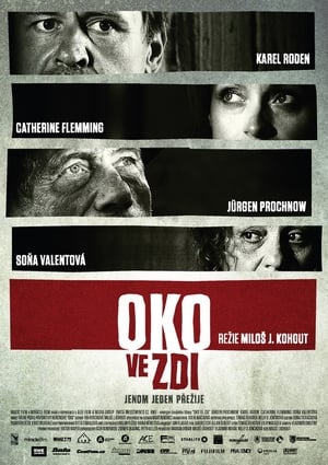 Poster Oko ve zdi (2009)