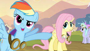 My Little Pony: Friendship Is Magic Hurricane Fluttershy