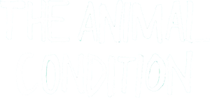 The Animal Condition