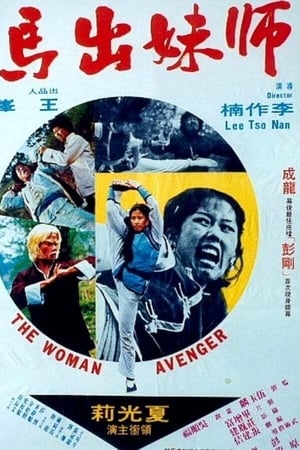 Poster Woman Avenger (1980)