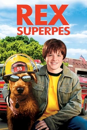 Poster Firehouse Dog 2007