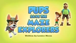 Image Pups Save the Maze Explorers