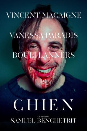 Poster Chien 2017