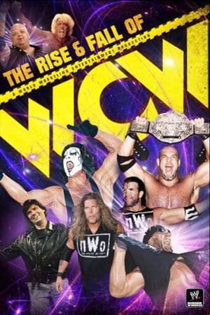 WWE: The Rise and Fall of WCW poster