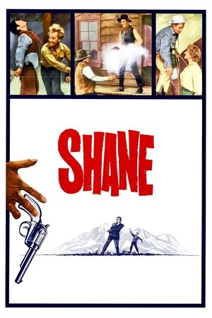 poster Shane