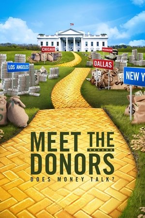 Image Meet the Donors: Does Money Talk?