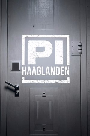 P.I. Haaglanden