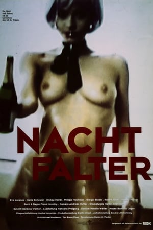 Poster Nachtfalter 2001