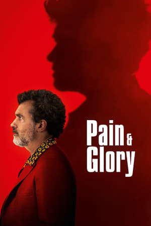 Poster Pain and Glory 2019