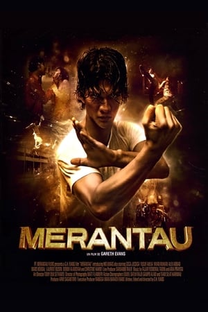 Poster Merantau 2009