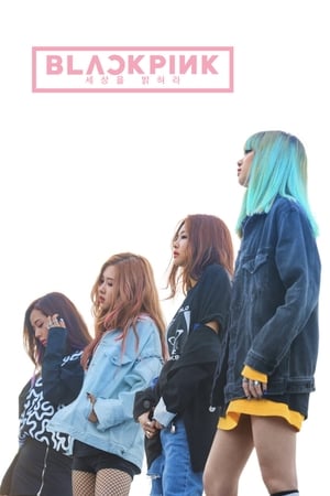 Poster BLACKPINK：照亮天空 2020