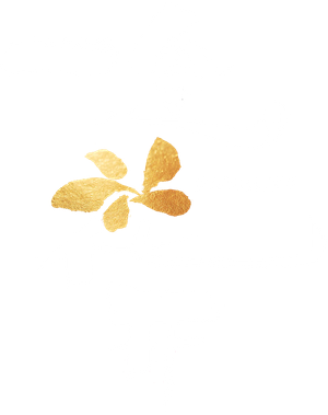 一念花开 — Logos 1