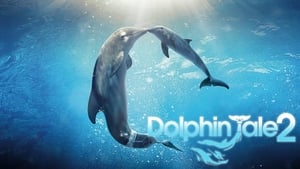 Mój przyjaciel delfin 2: Ocalić Mandy online cda pl