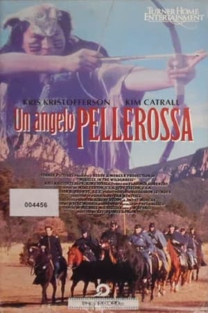 Poster Un angelo pellerossa 1991
