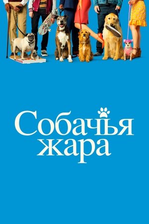 Image Собачьи дни