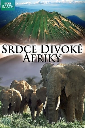 Poster Srdce divoké Afriky 2010