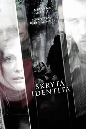 Poster Skrytá identita 2010