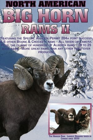 Bighorn Rams 2 film complet