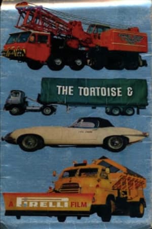 Poster The Tortoise and the Hare (1966)