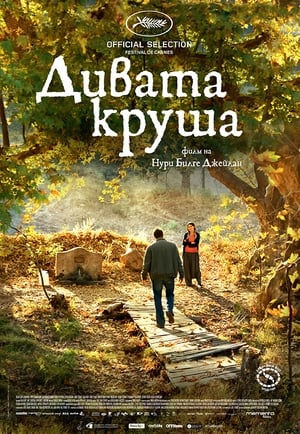 Poster Дивата круша 2018
